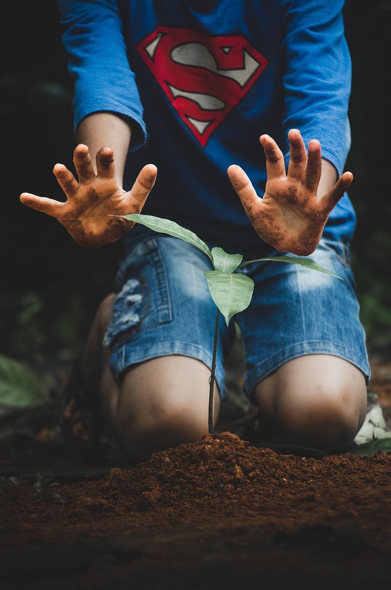 Tree planting